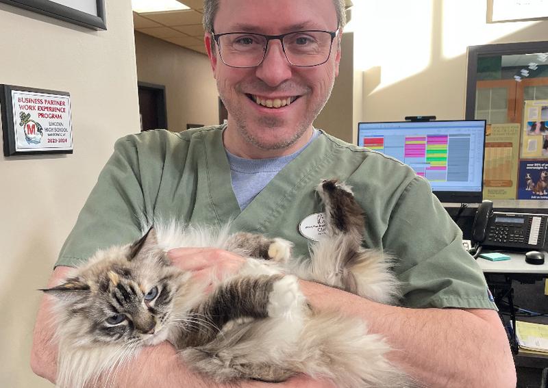 Carousel Slide 4: Cat Care